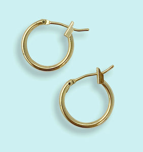 Small Gold Catch Hoops