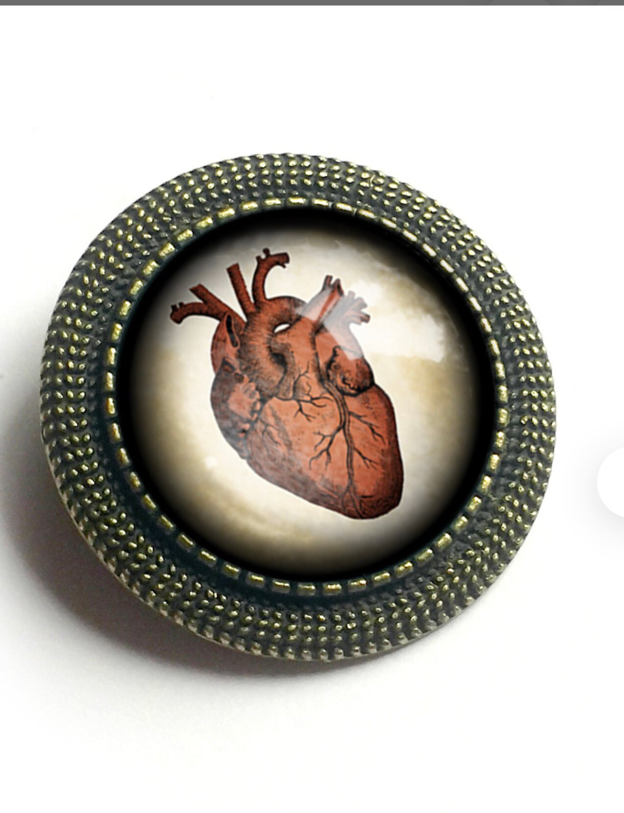 Anatomical Heart Vintage Inspired Pin Brooch