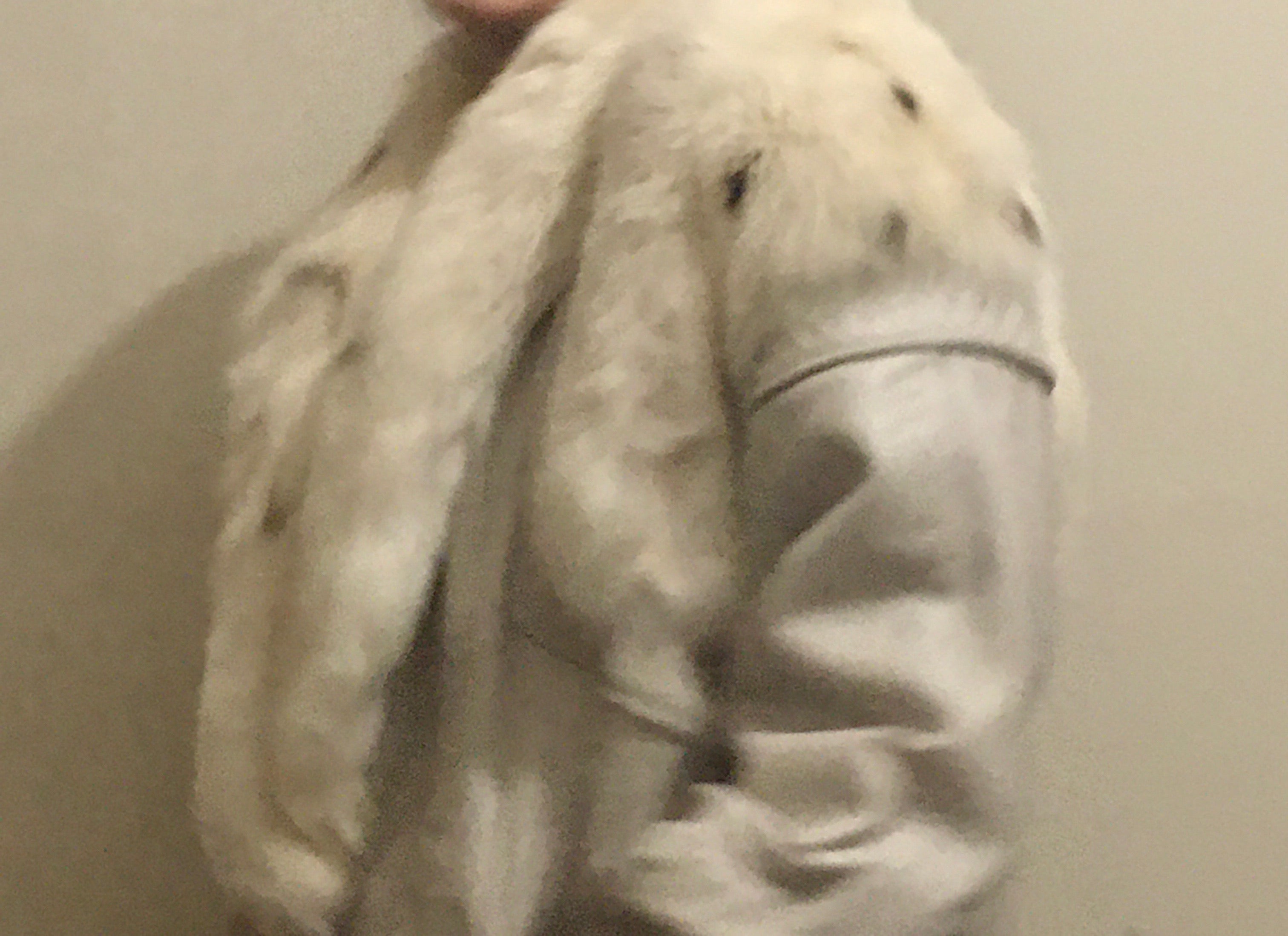 Vintage White Leather/Fur Jacket